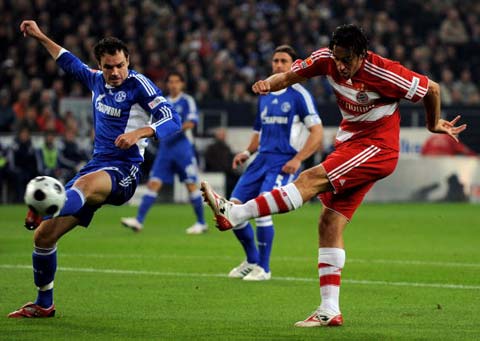 不容忽视的 不容忽视的