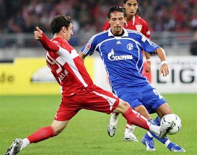 整个团队的 整个团队的